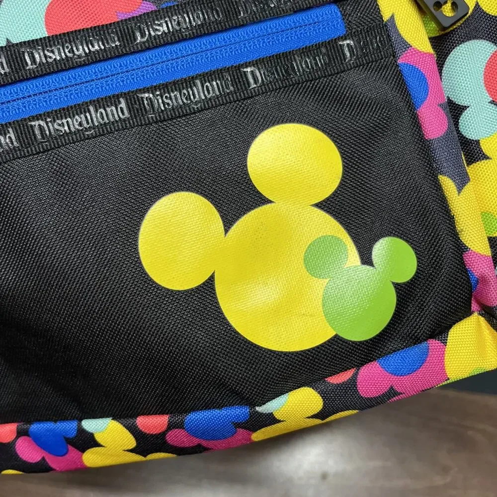 Disney parks mickey